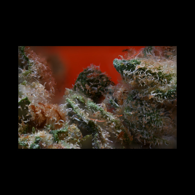 Blueberry Pancakes - Weed Design by MrGreenGenes420