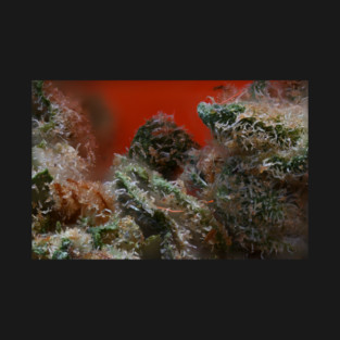 Blueberry Pancakes - Weed Design T-Shirt