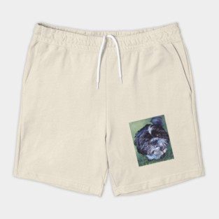 Shih Tzu Fine Art Painting Shorts