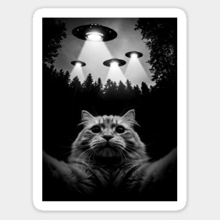 Selfie of Funny Cat and Aliens UFO 4 Sticker