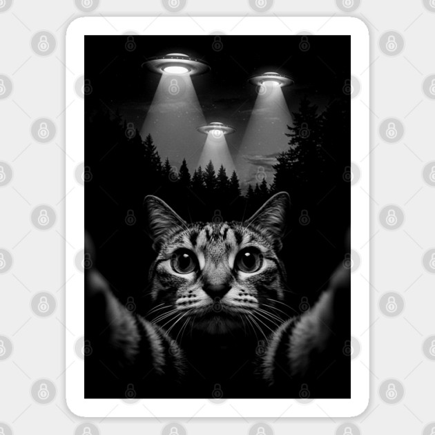 Selfie of Funny Cat and Aliens UFO 5 Sticker by Megadorim