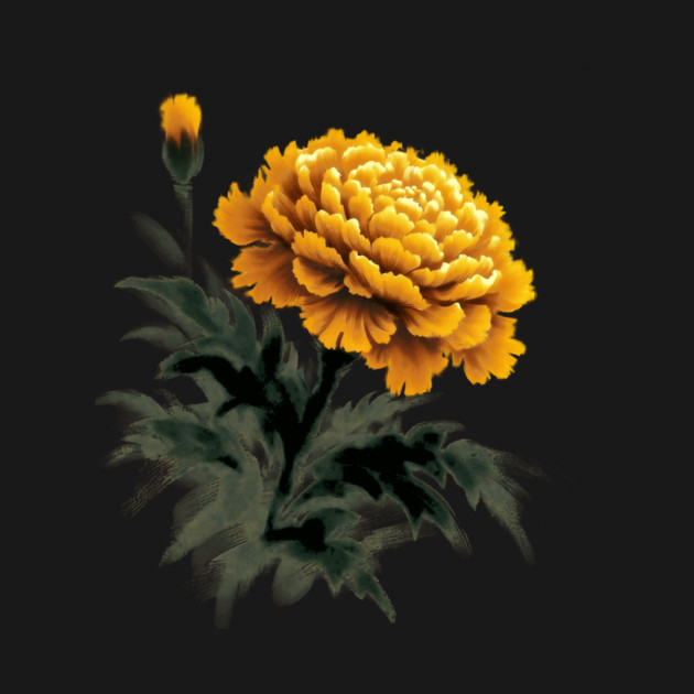 Marigold by CreativeSage