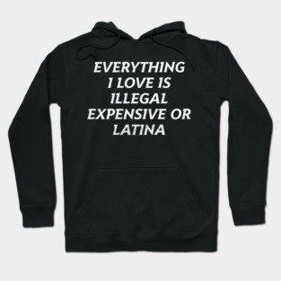 Everything I Love Is Illegal Expensive Or Latina Hoodie