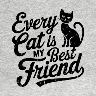 Every Cat Is My Best Friend Feline Lover Humor T-Shirt