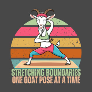Stretching Boundaries One Goat Pose at a Time T-Shirt