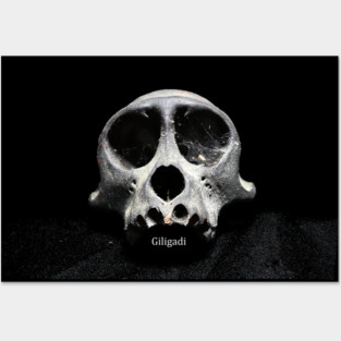 Giligadi black skull teeshirt Posters and Art