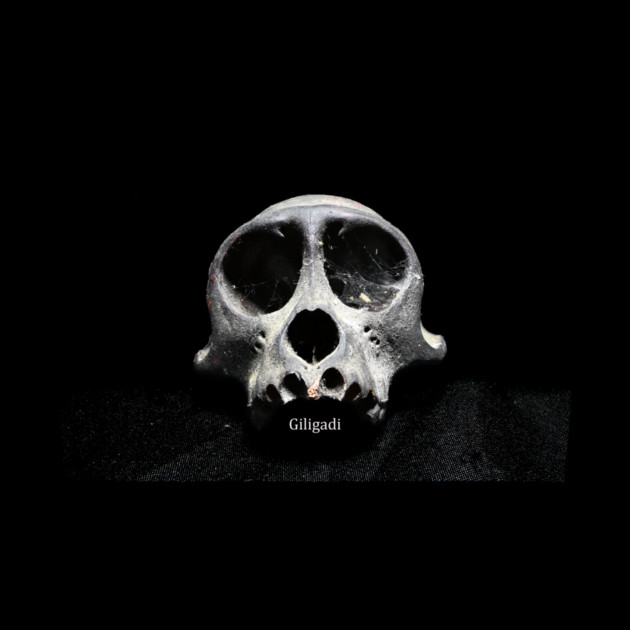 Giligadi black skull teeshirt by MrGreenGenes420