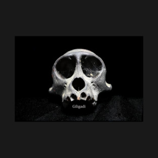 Giligadi black skull teeshirt T-Shirt