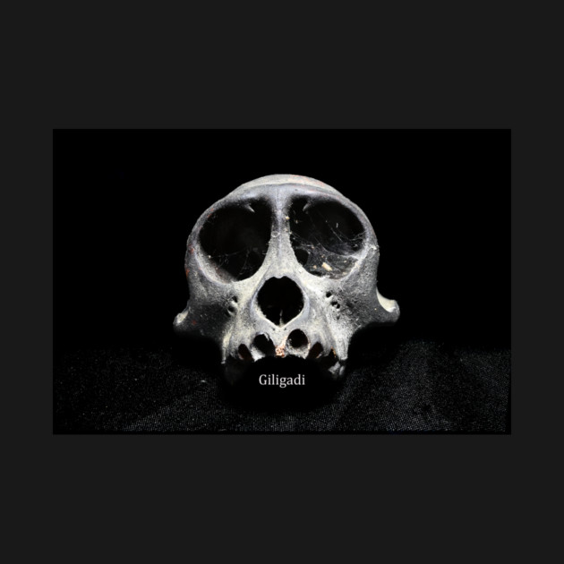 Giligadi black skull teeshirt by MrGreenGenes420