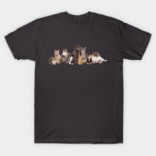 Jade's Cat Tee, FROM TV Show inspired, Cool Cat T-Shirt
