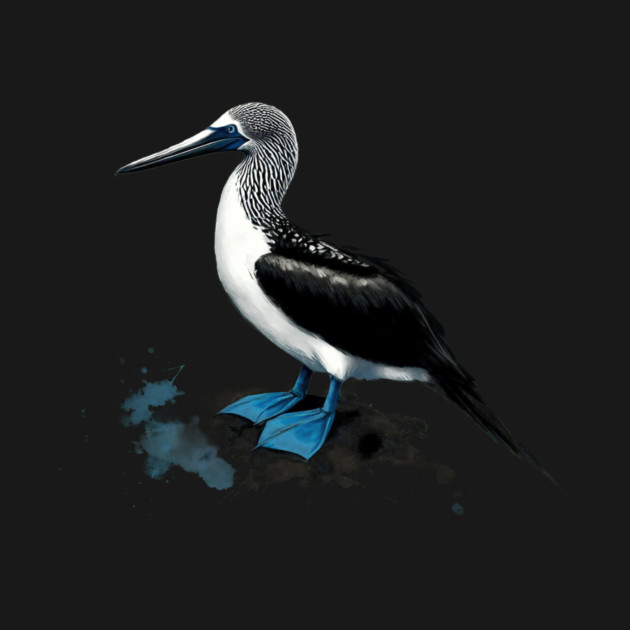 Blue Footed Booby by CreativeSage