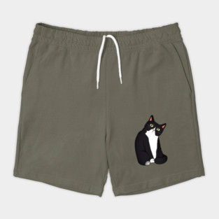 Funny Black and White Cat Starring Shorts