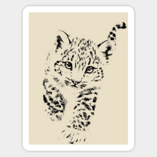 Baby Snow Leopard - Cute Wildlife Sticker