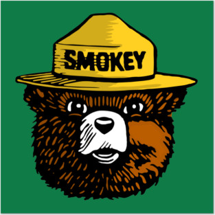 SMOKEY THE BEAR Posters and Art