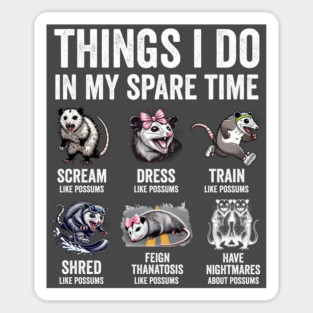 Things I Do In My Spare Time Possum Opossum Lovers Magnet