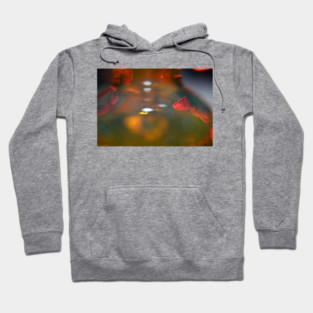Into the Light Parade - Art Glass Hoodie