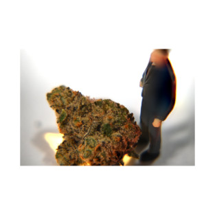 A Bit of the Business - Weed Design T-Shirt