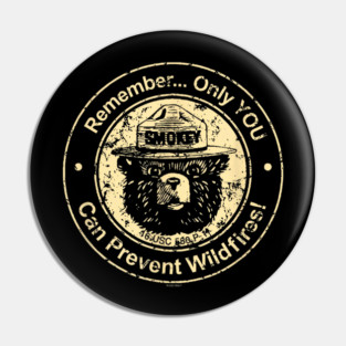 Smokey Bear Only You Can Prevent Wildfires 80s Retro Pin