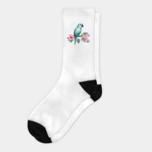 Turquoise Conure Socks