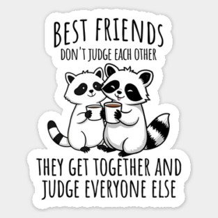 Best Friends Don't Judge The Other, snarky raccoon design Sticker