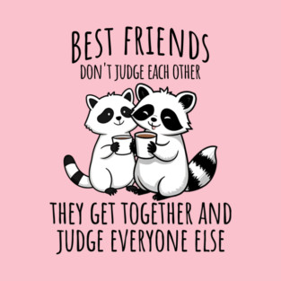 Best Friends Don't Judge The Other, snarky raccoon design T-Shirt