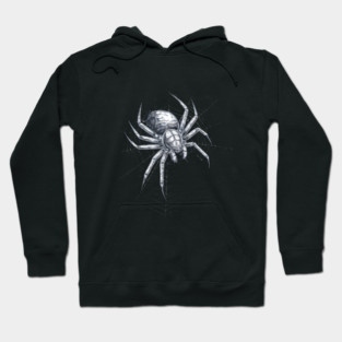 Art and  Natural Science of Spider Silk Hoodie