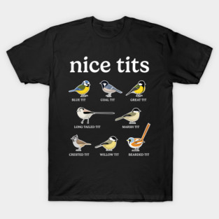 Nice Tits Bird Watching Funny Birdwatcher T-Shirt