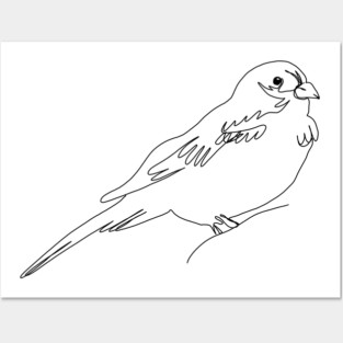 Sparrow Posters and Art