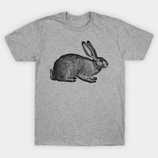 Rabbit - Hare - Bunny - nature - drawing, animal T-Shirt
