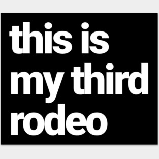 This is my third rodeo Posters and Art