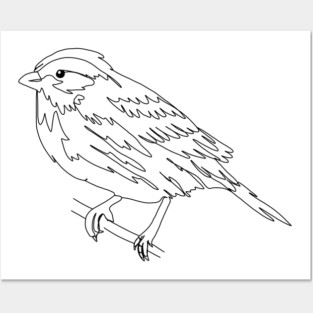 Sparrow Posters and Art