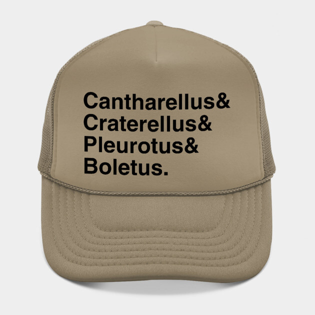 Mushroom Latin Names Ampersand by Four Season Foraging