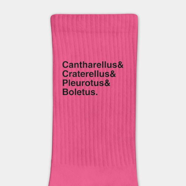 Mushroom Latin Names Ampersand by Four Season Foraging