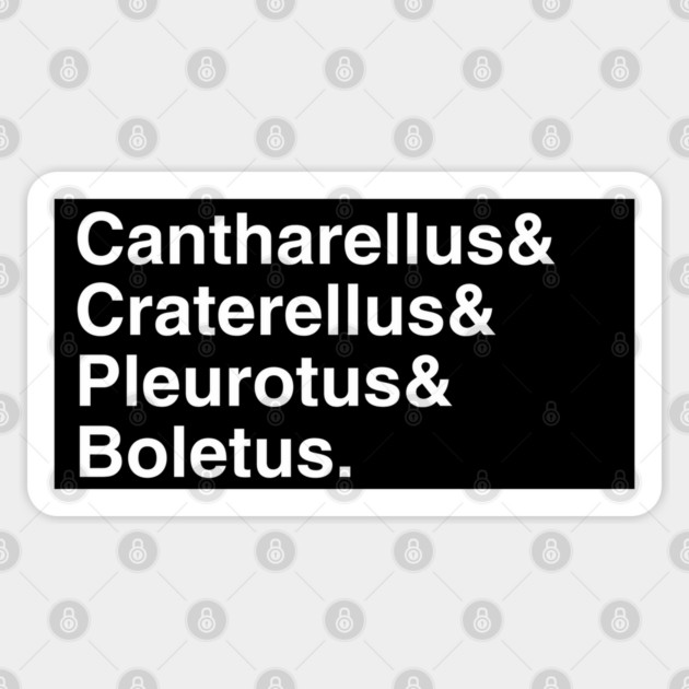 Mushroom Latin Names Ampersand (white on black) Sticker by Four Season Foraging