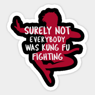 Surely Not Everybody Was Kung Fu Fighting Magnet