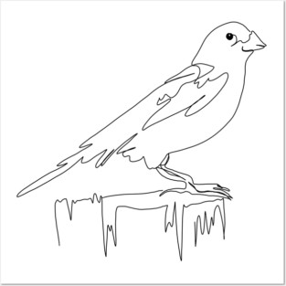 Sparrow Posters and Art