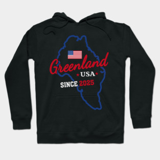 Funny Greenland USA Trump 2024 Hoodie