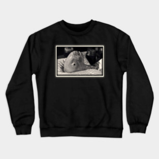 Eraserhead Baby // David Lynch Crewneck Sweatshirt