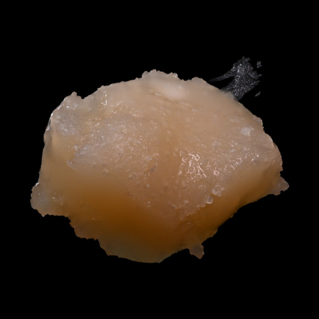 Strawberry Slymer - Weed Design by MrGreenGenes420