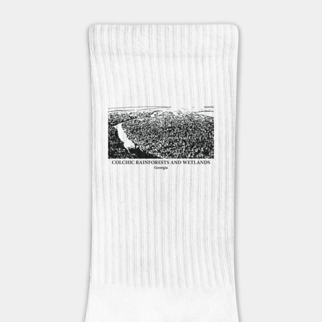 Colchic Rainforests and Wetlands - Georgia by Lakeric