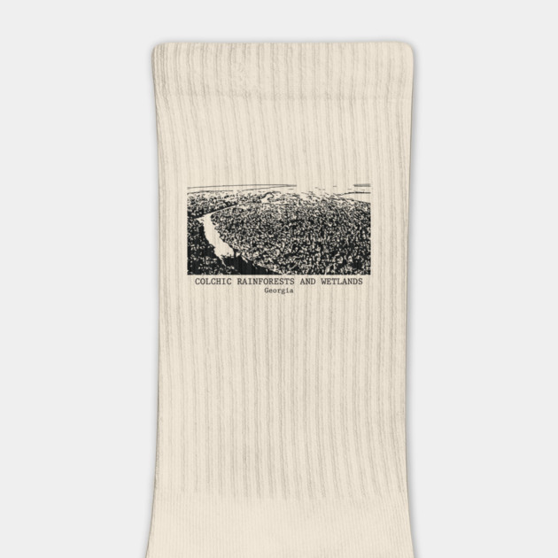 Colchic Rainforests and Wetlands - Georgia by Lakeric