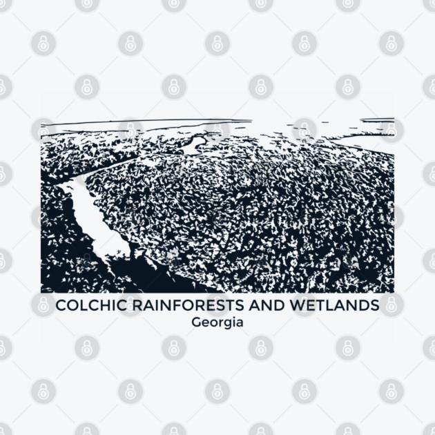 Colchic Rainforests and Wetlands - Georgia by Lakeric