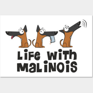 Life with malinois Posters and Art
