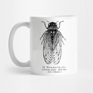 Cicada Mug