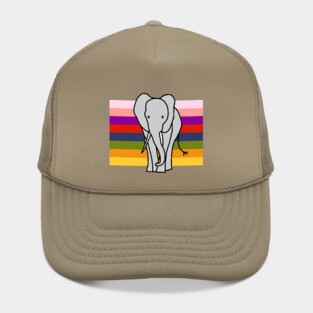 Elephant on Rainbow Stripes Graphic Hat