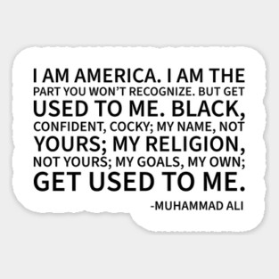 I am America...the part you won't recognize Magnet