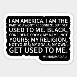 I am America...the part you won't recognize Magnet