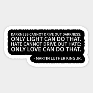 Darkness cannot drive out darkness Magnet