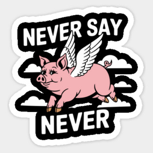 Never Say Never Sarcastic Inspiration Magnet