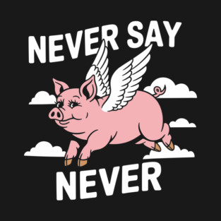 Never Say Never Sarcastic Inspiration T-Shirt